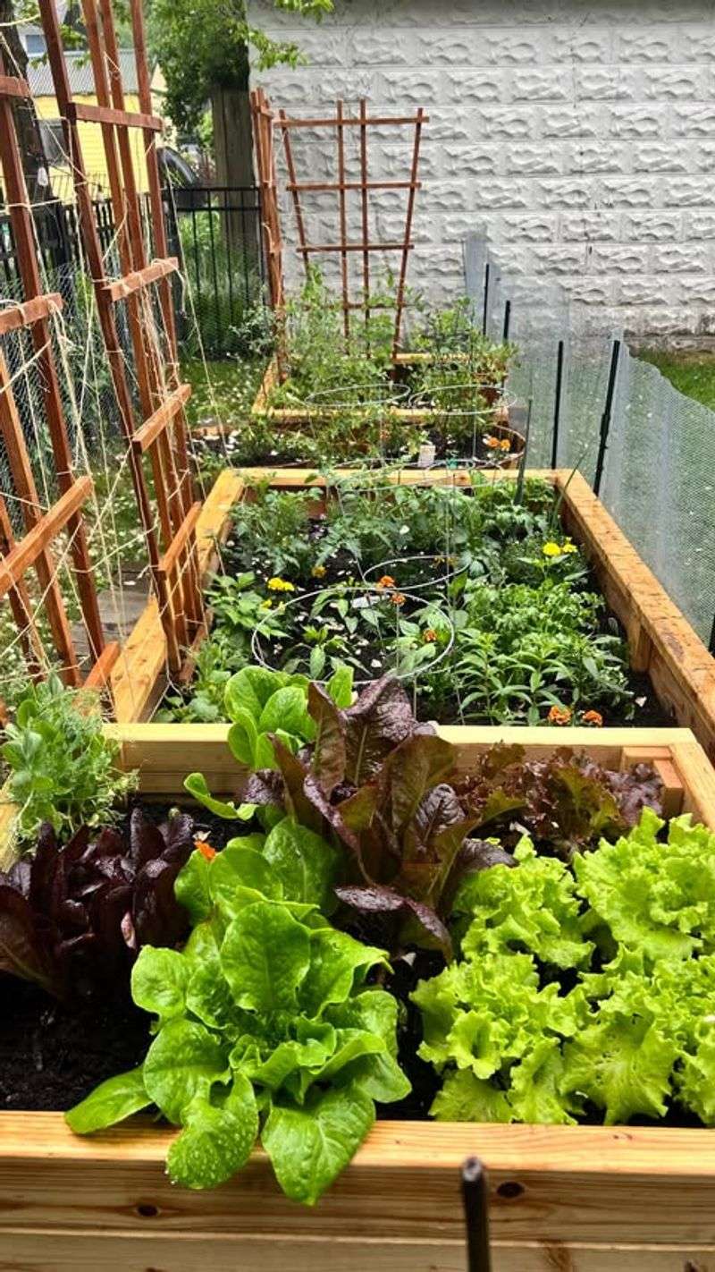 It Works Because Families Grow What They Already Eat