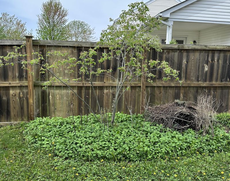 It Works Best With Clean Garden Edge Habits It Works Best With Clean Garden Edge Habits