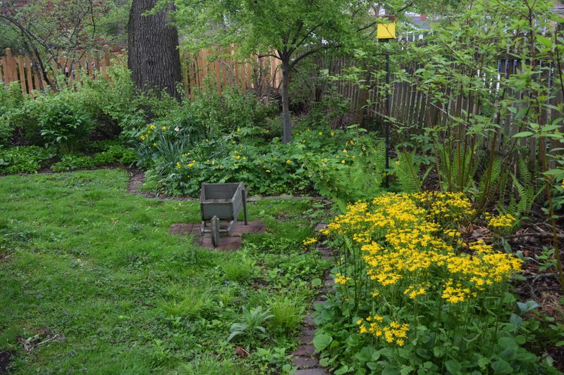 It Works Well Under Trees And Shrubs
