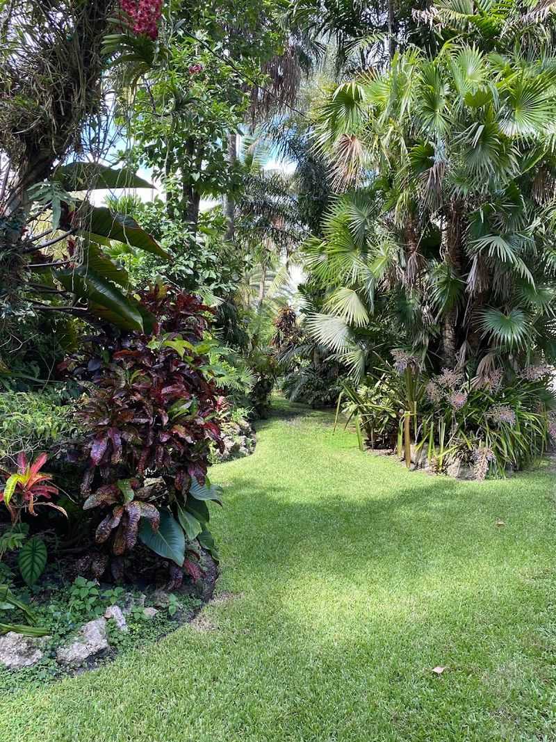 Jesse Durko's Nursery Feels Like A Tropical Plant Destination