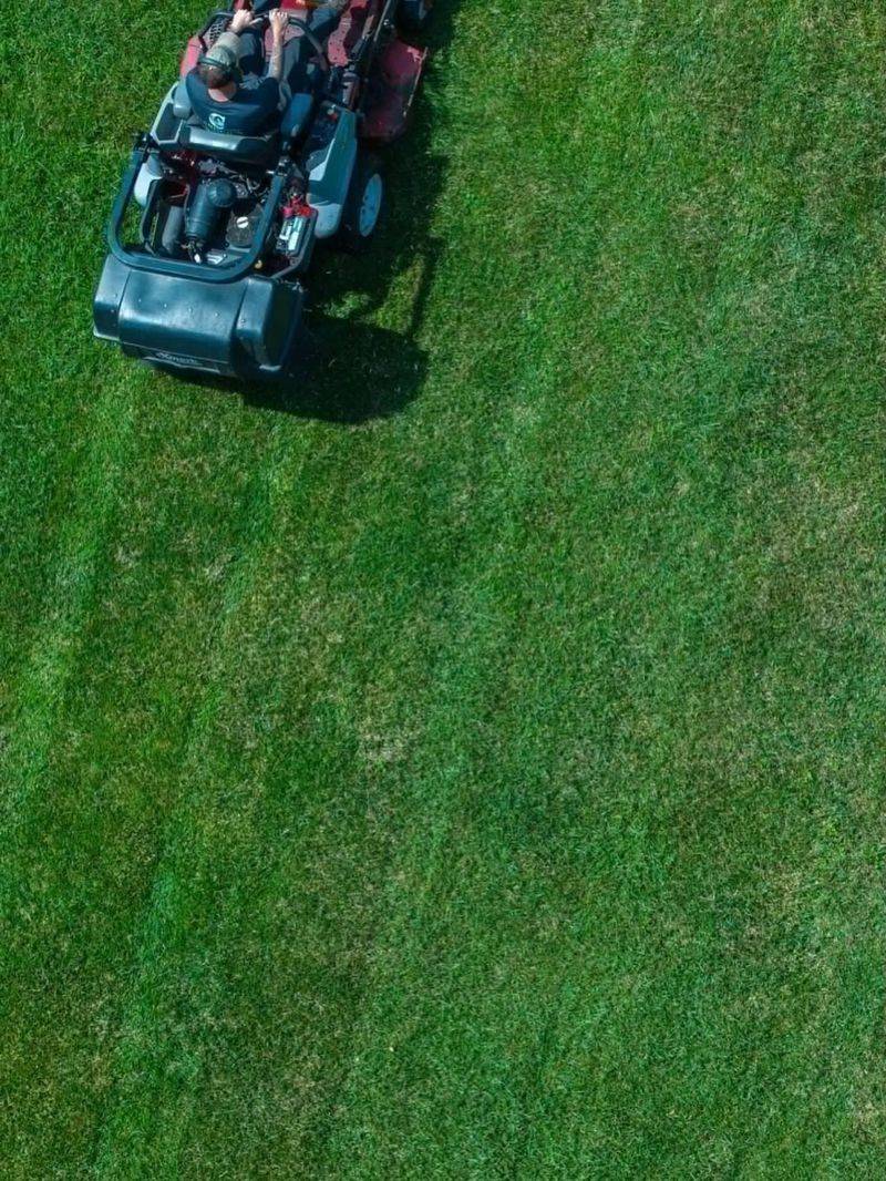 July Heat Pushes Cool-Season Grass Into Dormancy July Heat Pushes Cool-Season Grass Into Dormancy