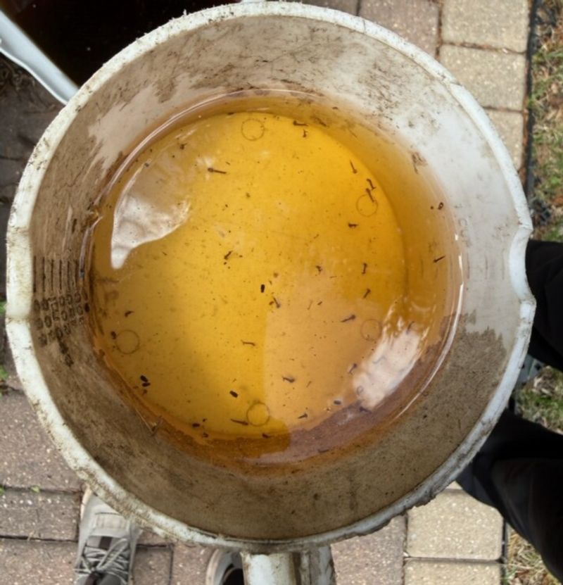 Keep Buckets, Pots, And Tarps Free Of Rainwater