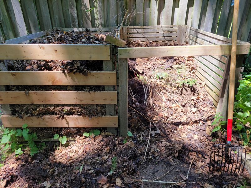 Keep Compost Moist Without Overwatering It