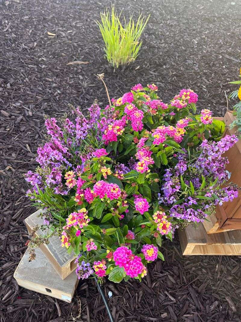 Keep Containers From Drying Out Completely
