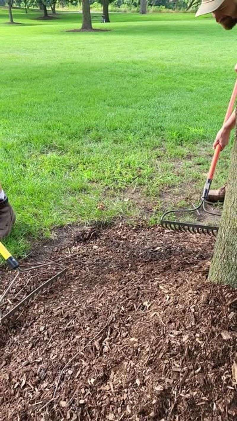 Keep Either Material Away From Stems And Trunks
