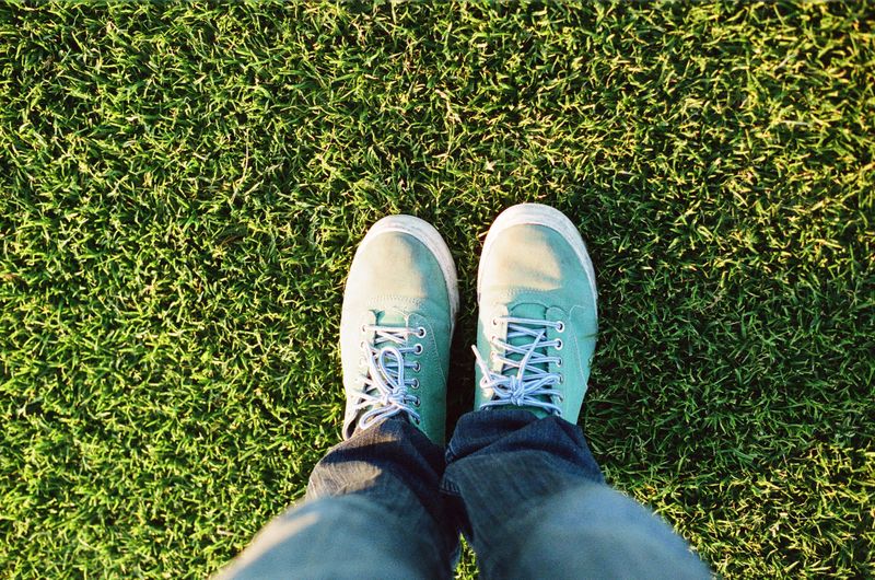 Keep Foot Traffic Off Dormant Areas