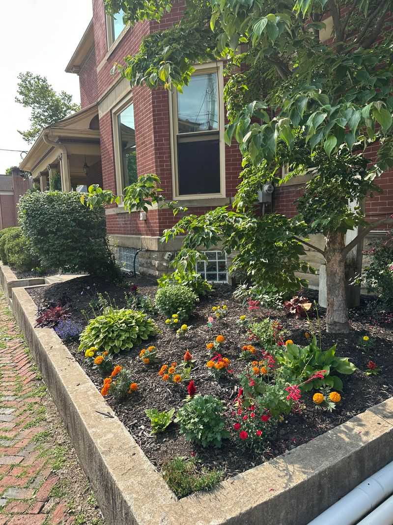 Keep Garden Beds Tidy Without Stripping Them Bare