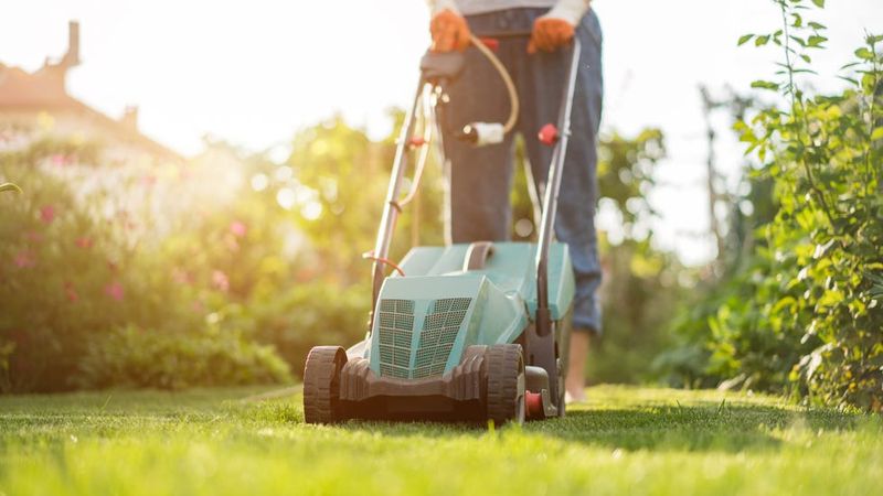 Keep Grass Mowed In High-Use Areas