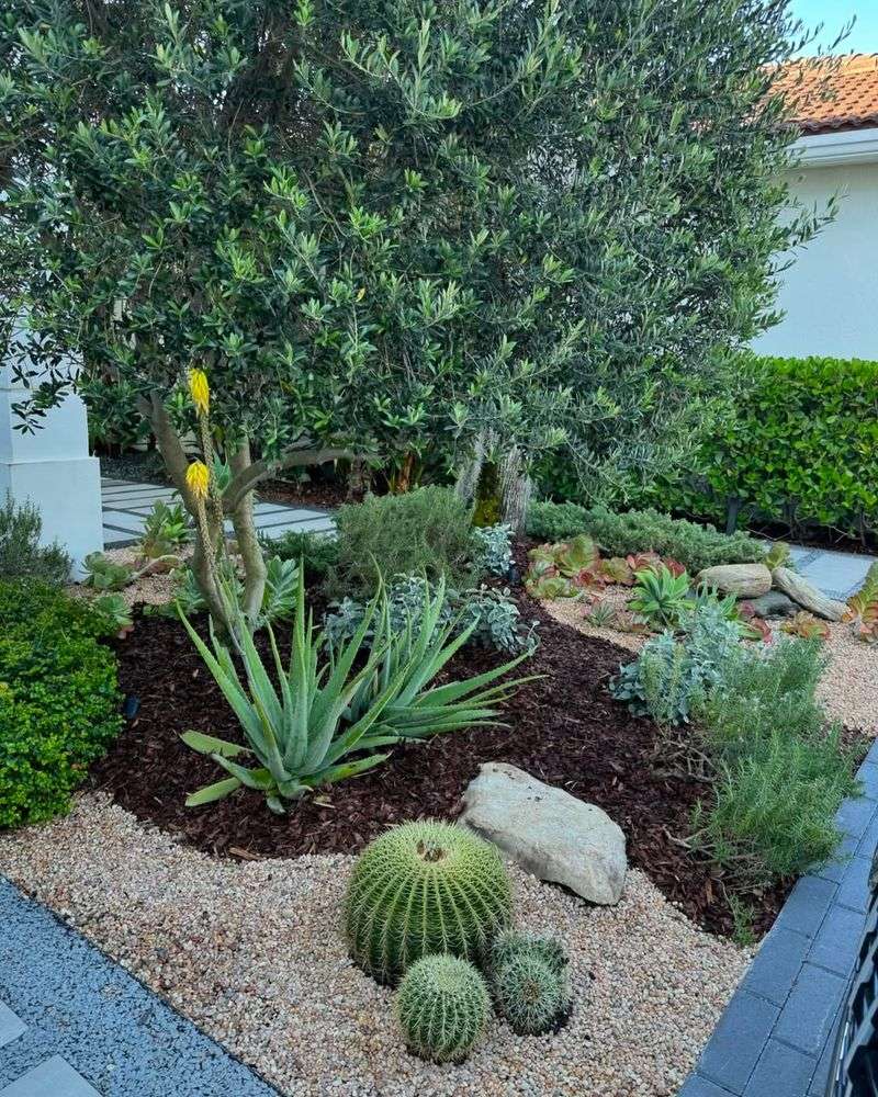 Keep Mulch A Few Inches Away From Plant Stems And Trunks Keep Mulch A Few Inches Away From Plant Stems And Trunks