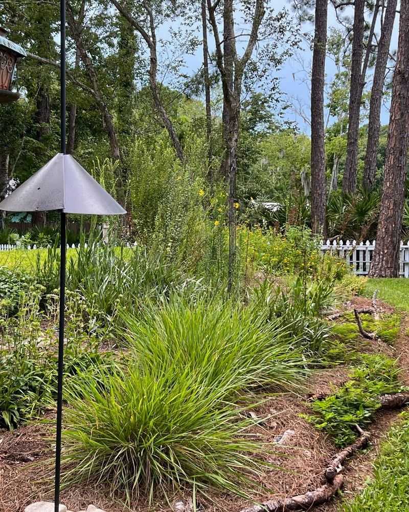 Keep Part Of The Yard Damp And Undisturbed