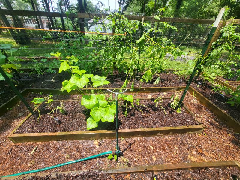 Keep Soil Moist, Not Soaked Keep Soil Moist, Not Soaked