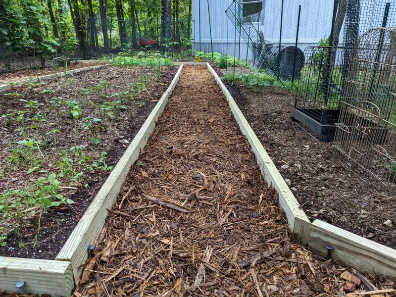 Keep The Outside Edges Of The Bed Clean Keep The Outside Edges Of The Bed Clean