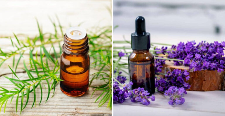 Keep Ticks At Bay In Your Pennsylvania Yard Using These Essential Oils