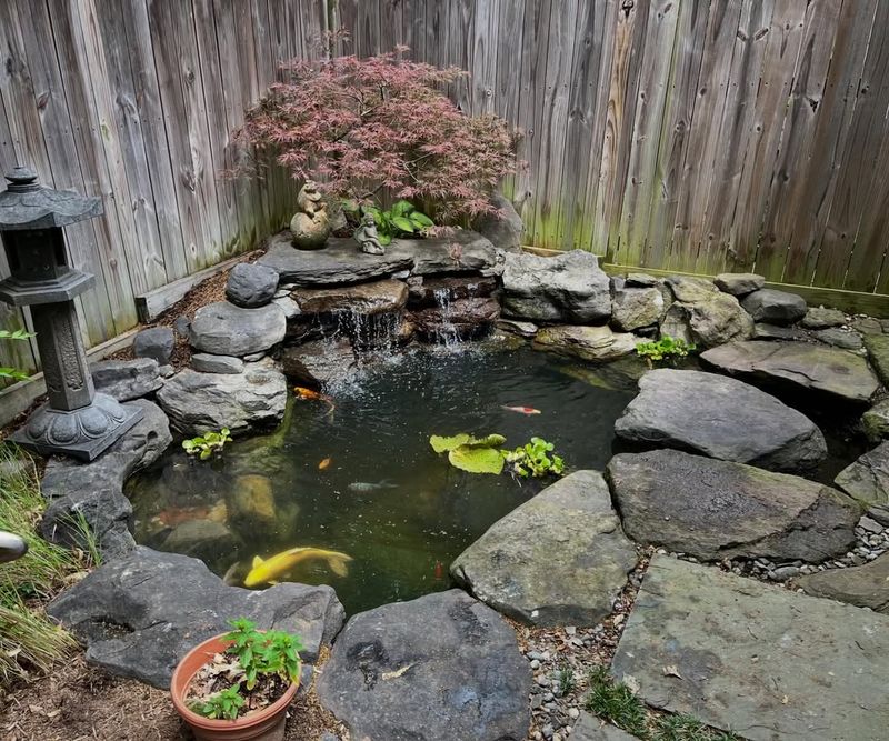 Keep Water Features Moving Through Mosquito Season