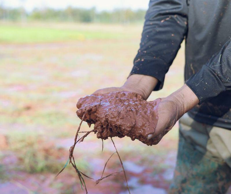 Keep Wet Clay Out Of The Work Zone Keep Wet Clay Out Of The Work Zone