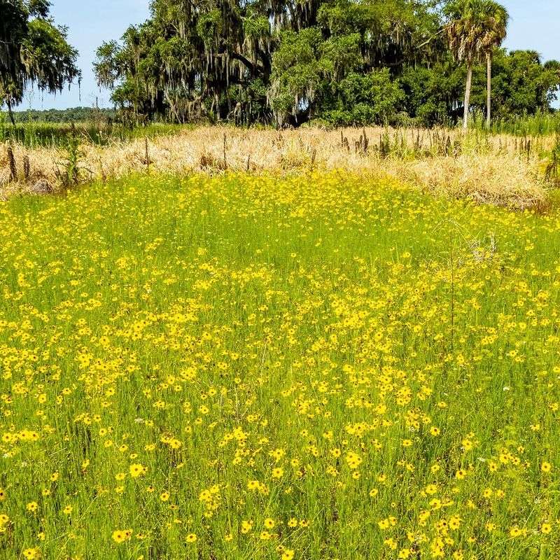 Keep Wildlife Food Sources Limited