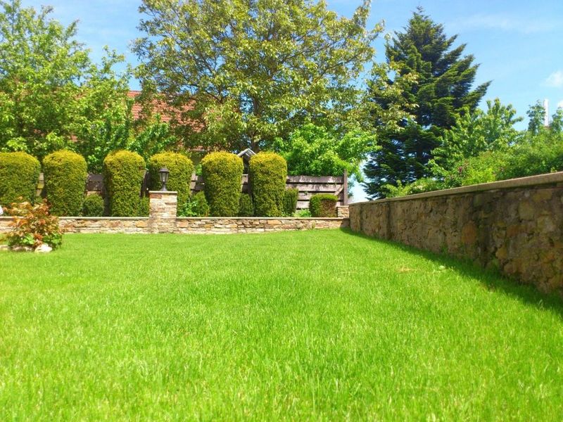 Keep Yards Clean And Tidy