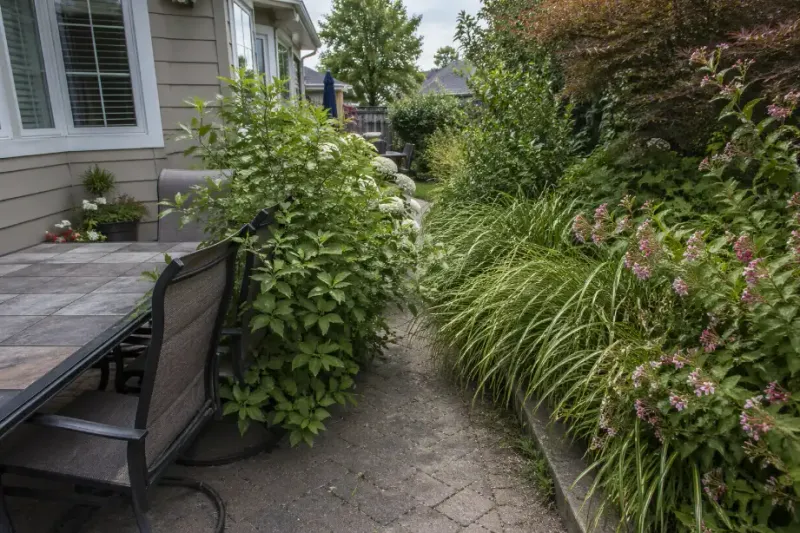 Keeping Brushy Borders Beside Seating Areas