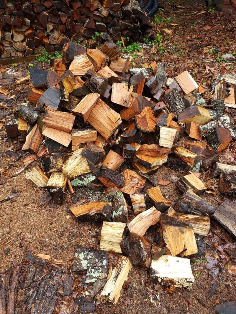 Keeping Firewood Directly On Damp Soil Keeping Firewood Directly On Damp Soil