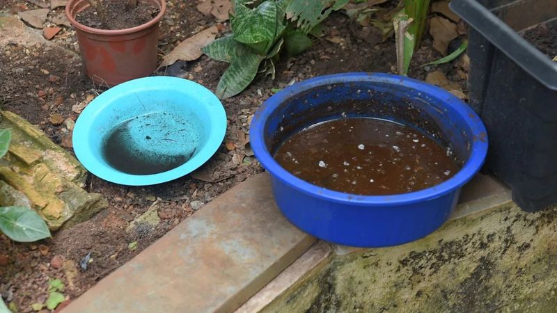 Keeping Storage Bins, Buckets, Or Containers Open