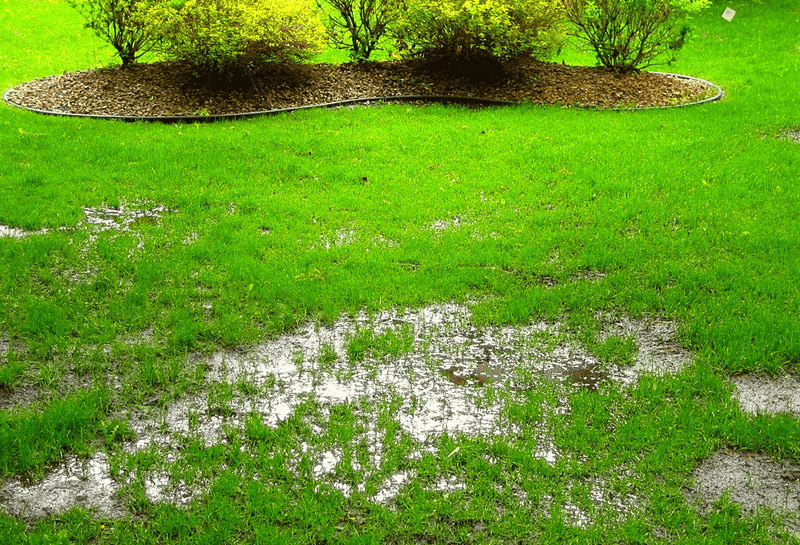 Keeping The Lawn Too Wet