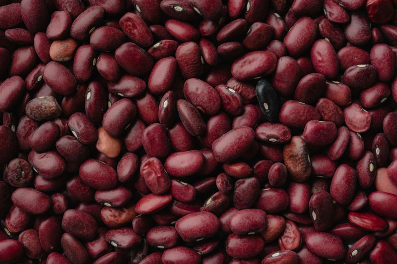 Kidney Beans Kidney Beans