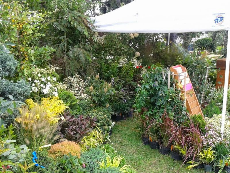Klyn Nurseries Shows The Growing Power Behind Local Natives