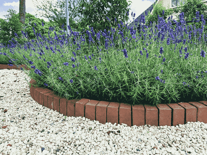 Landscape Borders Create Protected Crevices Landscape Borders Create Protected Crevices