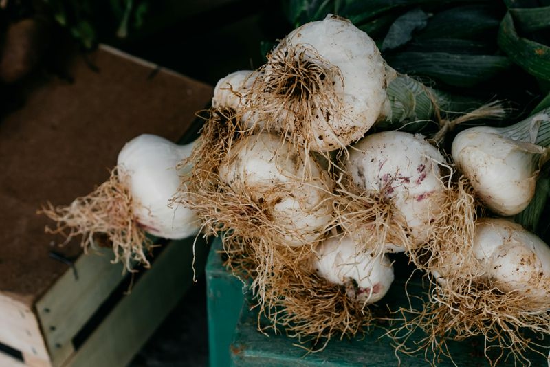 Larger, More Flavorful Bulbs