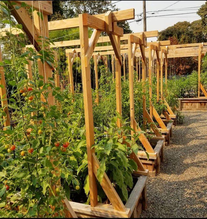 Late Summer Is Peak Season And Your Garden Is Right In Their Path