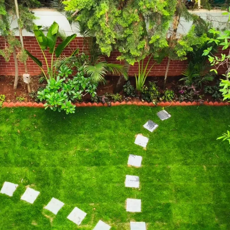 Lawn Expansion Often Reduces Butterfly Resources Lawn Expansion Often Reduces Butterfly Resources
