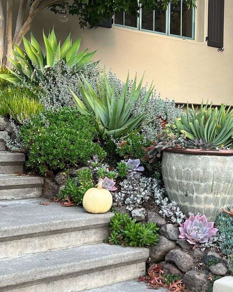 Layered Planting With Ferns And Succulents Adds Depth