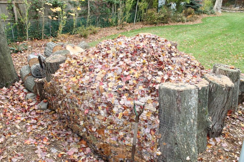 Leaf Litter And Mulch Piles