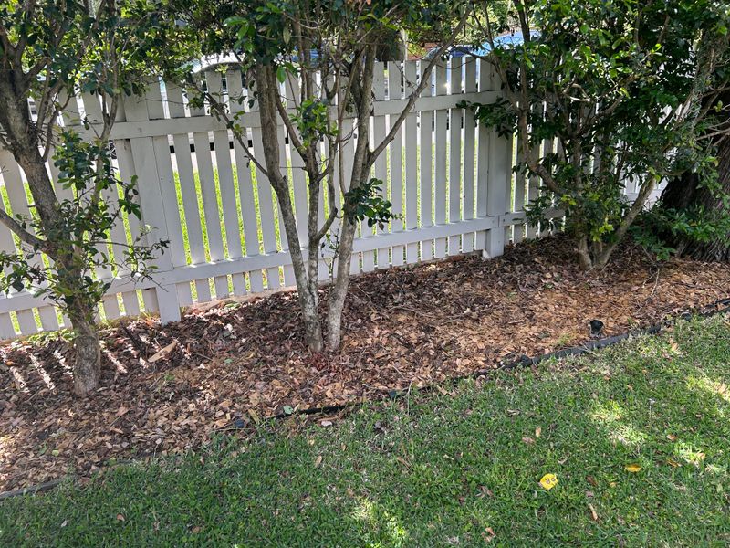 Leaf Litter, Brush Piles, And Poorly Managed Compost Provide Cover