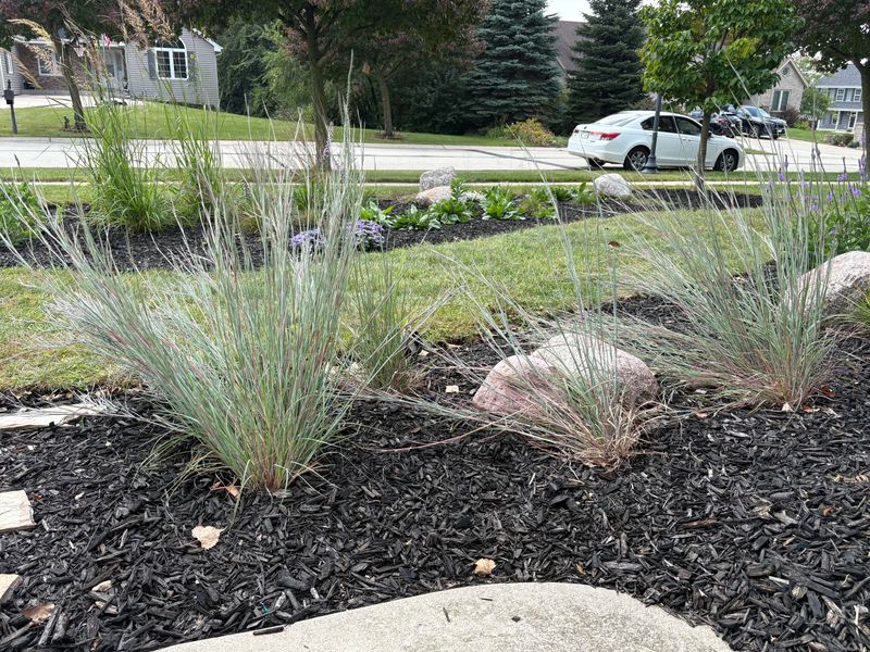 Leaf Litter Cleanup Makes The Border Work Leaf Litter Cleanup Makes The Border Work