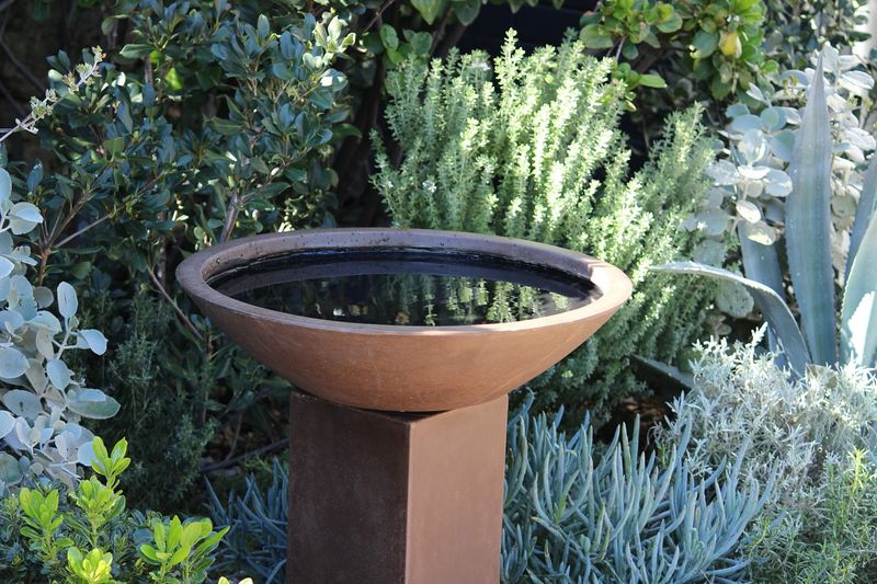 Leave A Reliable Water Source Nearby During Hot Weather Leave A Reliable Water Source Nearby During Hot Weather