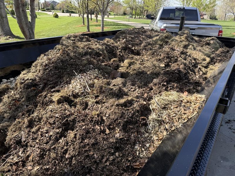 Leave Bare Soil And Yard Debris Leave Bare Soil And Yard Debris
