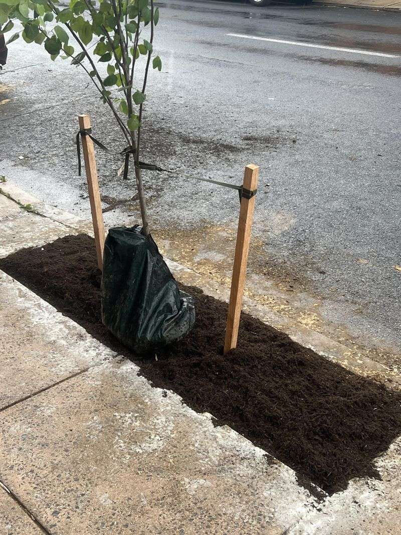 Leave Clearance Around Hydrants, Lights, And Corners Leave Clearance Around Hydrants, Lights, And Corners