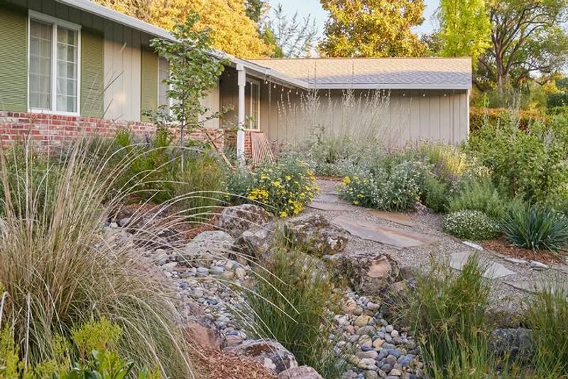 Leave Part Of The Yard Less Tidy During Summer