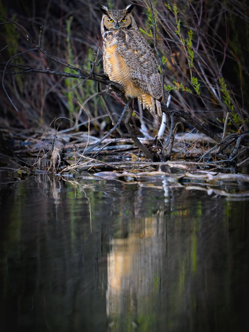 Leave Quiet Edges For Nighttime Hunting
