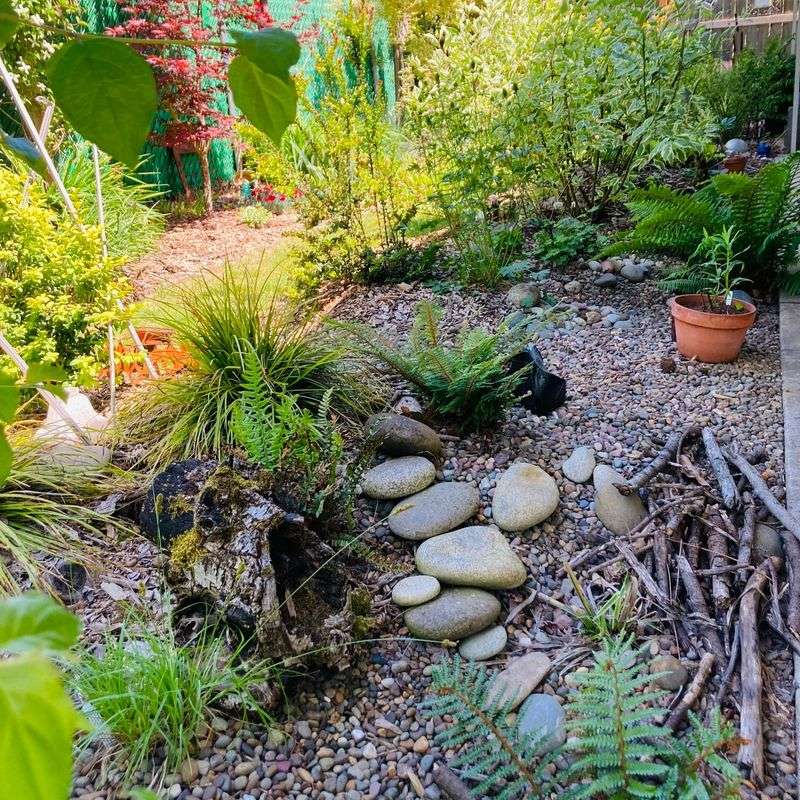 Leave Some Natural Areas Undisturbed Leave Some Natural Areas Undisturbed