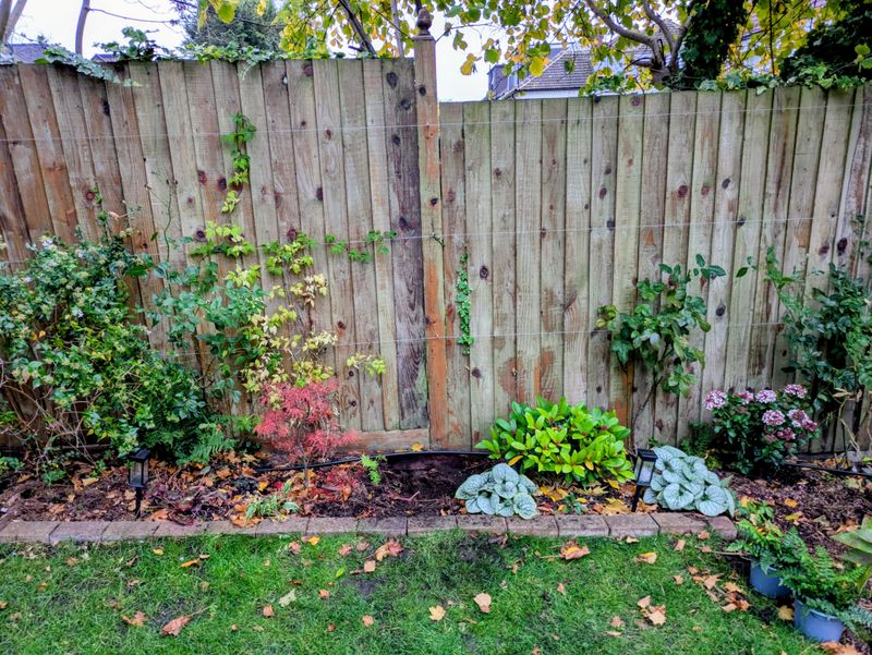 Leave Space For Fence Repairs And Airflow