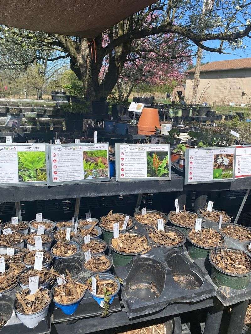 Leaves For Wildlife Proves Your Yard Can Do More Than Look Neat Leaves For Wildlife Proves Your Yard Can Do More Than Look Neat