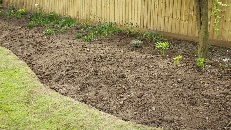 Leaving Bare Soil Open After June Planting Leaving Bare Soil Open After June Planting