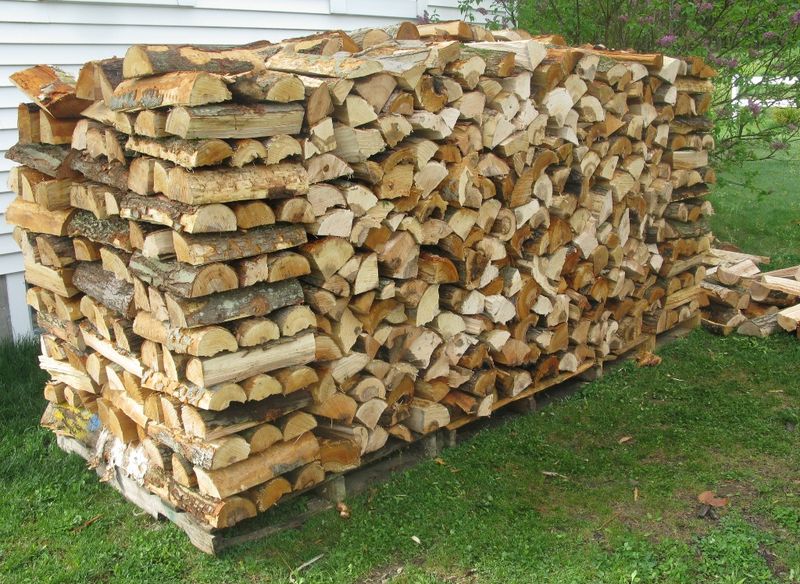 Leaving Firewood Piles Close To The House