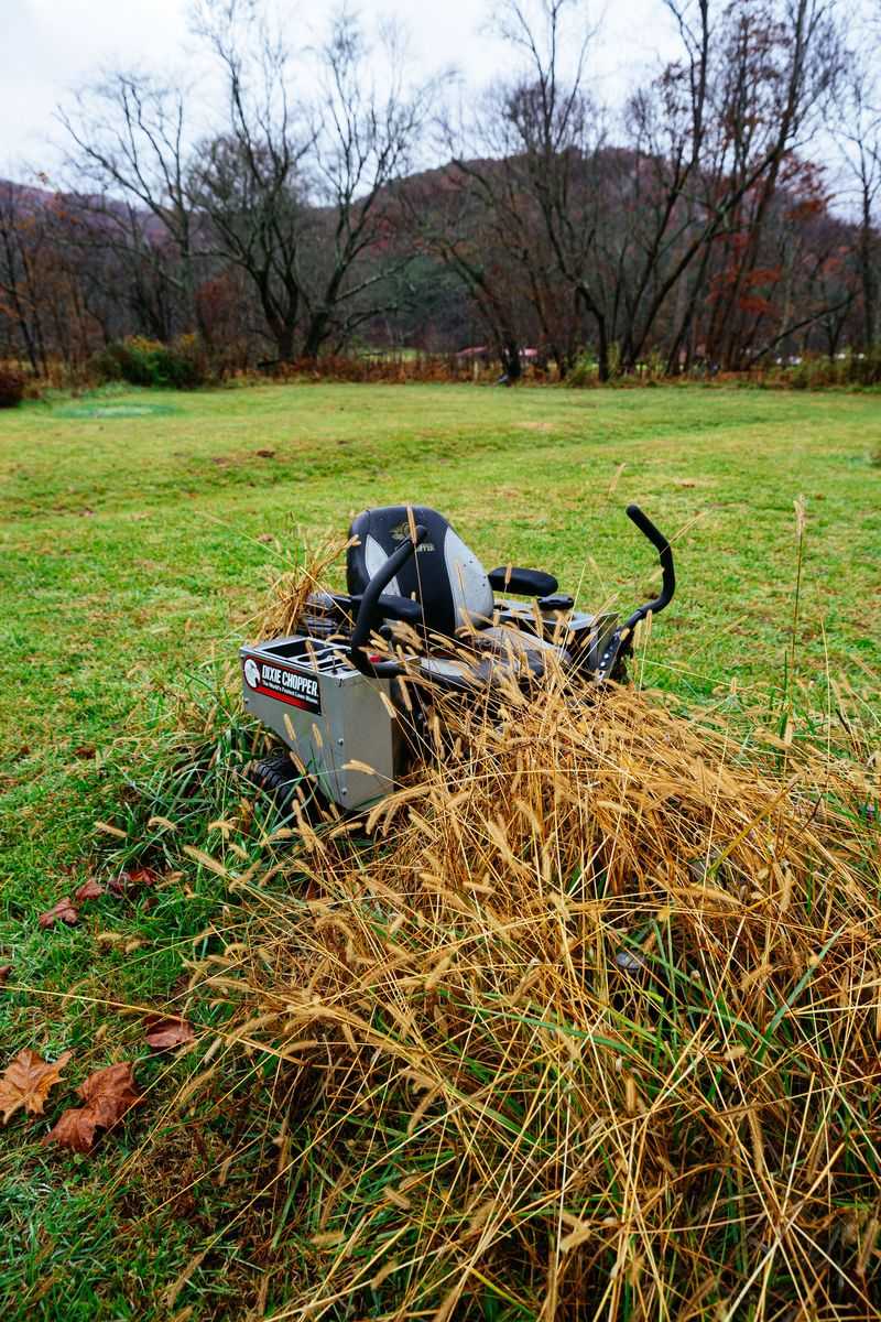 Leaving Grass Clippings In Thick Clumps On Dry Lawns