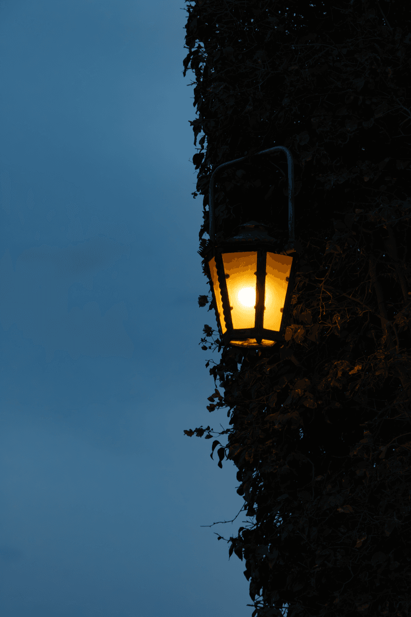 Leaving Outdoor Lights On At Night