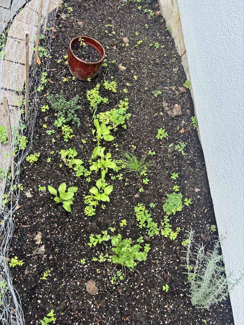 Leaving Thin Spots Unrepaired Leaving Thin Spots Unrepaired