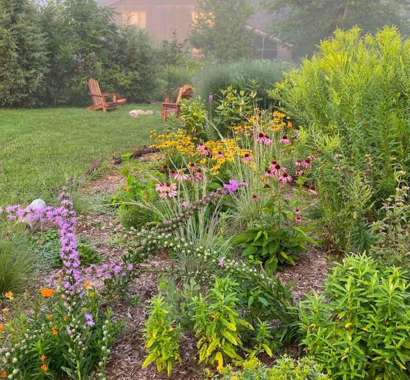 Let A Backyard Edge Stay Messier Than The Lawn