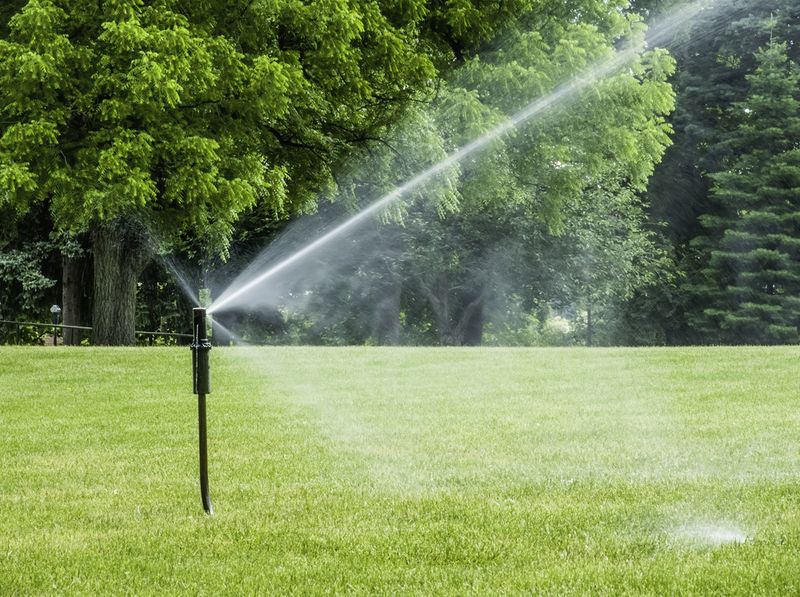 Let Grass Dry Between Deep Waterings Let Grass Dry Between Deep Waterings